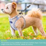 Adjustable Reflective Dog Harness and Leash Set