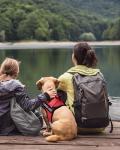 FAYOGOO Lightweight Harness with 6 Removable Patches