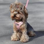 Adjustable Reflective Harness and Leash Set for Kittens