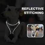 Adjustable Reflective Dog Harness and Leash Set