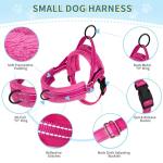 SlowTon Reflective Adjustable Dog Harness and Leash Set