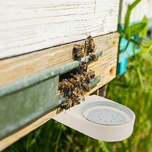 12PCS Bee Feeders with Perforated Lids - Beekeepers
