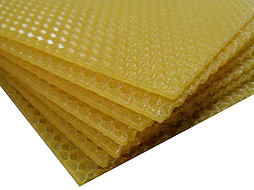 AGS SN4 Beehive Base Sheets - Standard Wax Frames