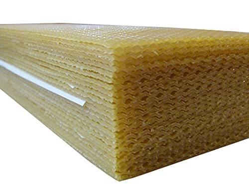 AGS SN4 Beehive Base Sheets - Standard Wax Frames