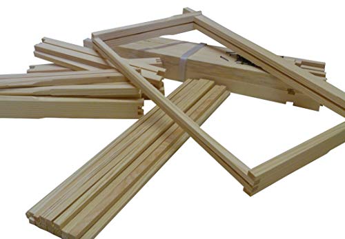 AGS Deep Beehive Dn4 Frames (x10) - 1st Grade