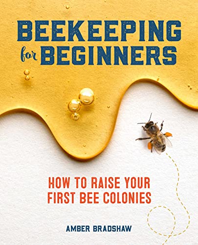 Beginner's Guide: Starting Your Beekeeping Journey