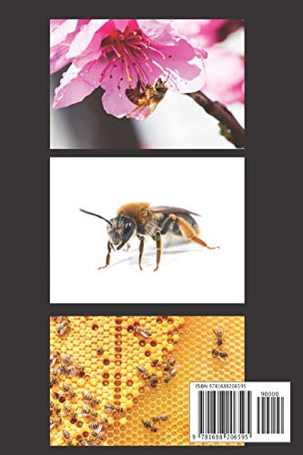 Easy Beekeeping: Beginner's Handbook for Natural Backyard