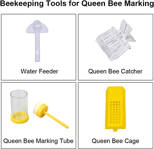 Beekeeping Tool Kit: Honey Harvesting Essentials Set