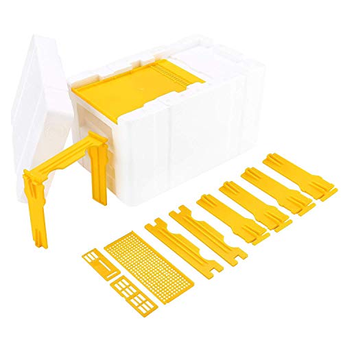 Tokenhigh Bee Hive Box: Beekeeping Equipment for Queen Breeding