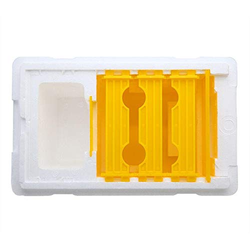 Tokenhigh Bee Hive Box: Beekeeping Equipment for Queen Breeding