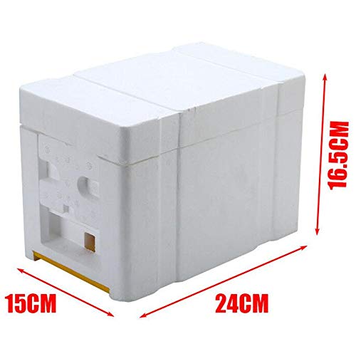 Tokenhigh Bee Hive Box: Beekeeping Equipment for Queen Breeding