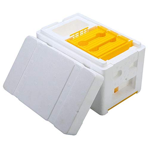 Tokenhigh Bee Hive Box: Beekeeping Equipment for Queen Breeding
