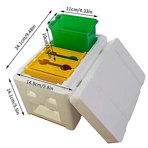 Queen Bee Rearing Single Polystyrene Mating Nucs Hive