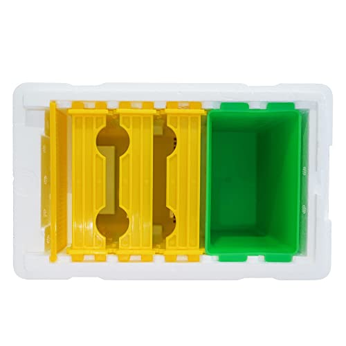 Queen Bee Rearing Single Polystyrene Mating Nucs Hive