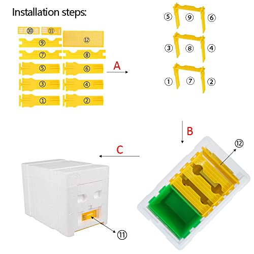 Queen Bee Rearing Single Polystyrene Mating Nucs Hive