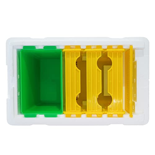 Queen Bee Rearing Single Polystyrene Mating Nucs Hive