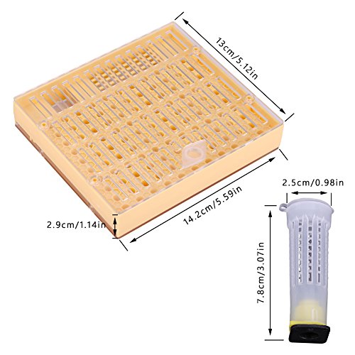 Wifehelper Beekeeping Queen Rearing Kit: Cultivate with Ease