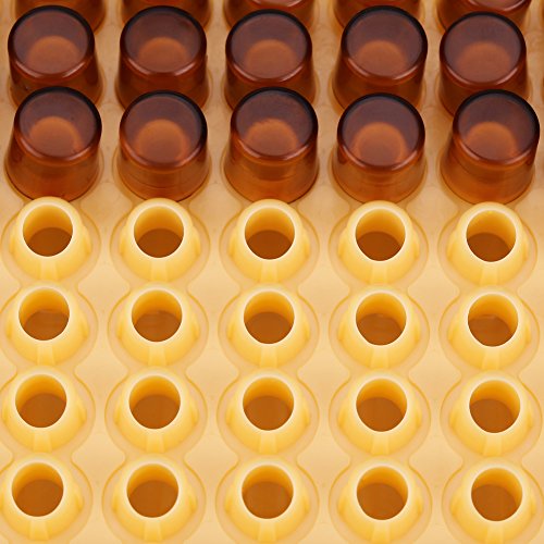 Wifehelper Beekeeping Queen Rearing Kit: Cultivate with Ease