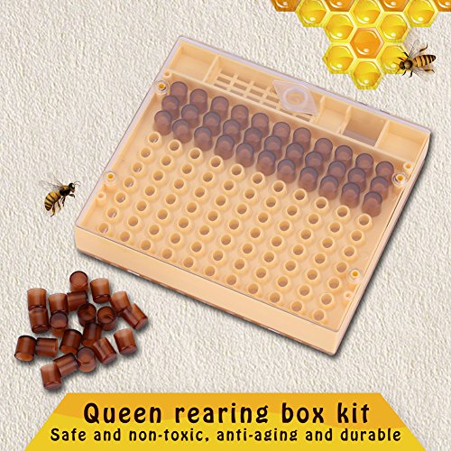 Wifehelper Beekeeping Queen Rearing Kit: Cultivate with Ease