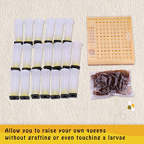 Wifehelper Beekeeping Queen Rearing Kit: Cultivate with Ease