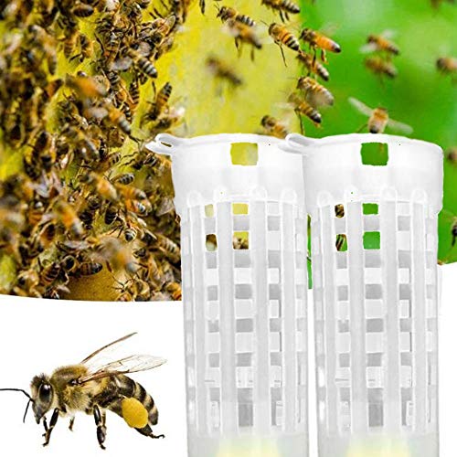 Beekeeping Roller Cages - Queen Rearing Equipment