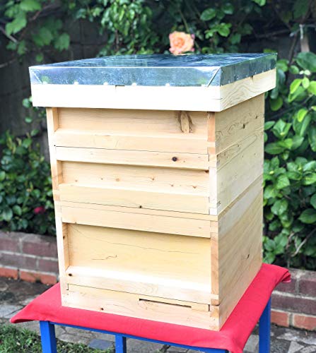 European-Made Beehive Set with Cedar Wood