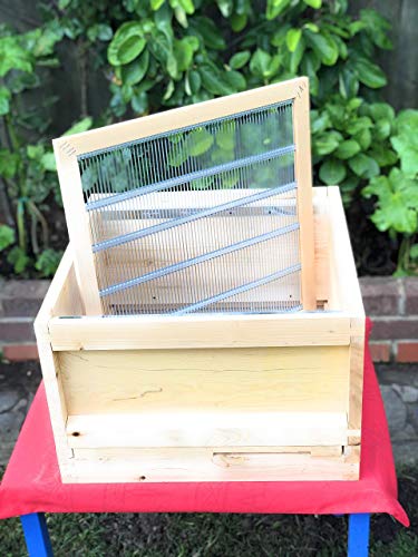 European-Made Beehive Set with Cedar Wood