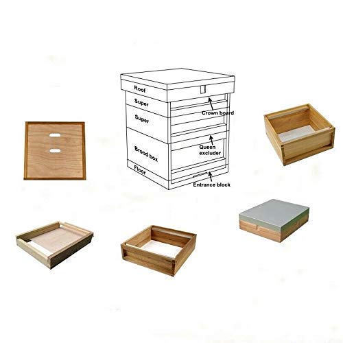 European-Made Beehive Set with Cedar Wood