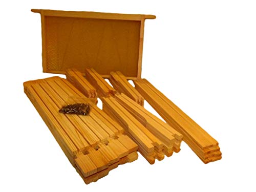 UK Beekeeping Supplies: DN4 x 10 Brood Frames