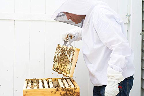 Beekeeping Suit: Protective Clothing for Beekeepers