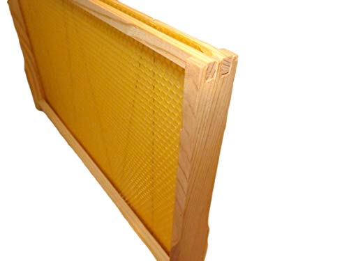 UK Beekeeping Supplies: DN4 x 10 Brood Frames
