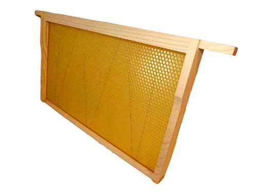 UK Beekeeping Supplies: DN4 x 10 Brood Frames