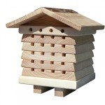 Solitary Bee Hive by Wildlife World