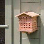 Solitary Bee Hive by Wildlife World