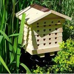 Solitary Bee Hive by Wildlife World