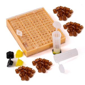 Beekeeper's Grafting Kit for Queen Bee Rearing