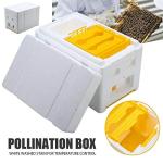Tokenhigh Bee Hive Box: Beekeeping Equipment for Queen Breeding