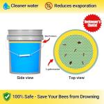 Bee Pontoon 2 Pack - Watering Station & Decor