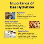 Bee Pontoon 2 Pack - Watering Station & Decor