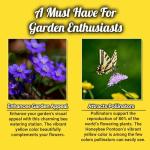 Bee Watering Station and Butterfly Feeder Set