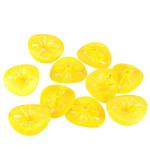 10 Pack Reusable Wasp Traps for Beekeeping