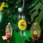 10 Pack Reusable Wasp Traps for Beekeeping