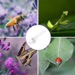 Small Beetle Tools for Beekeeping and Pests
