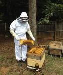 Buzz Beekeeping Suit with Goat Skin Gloves - X-Small