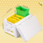 Beekeeping Queen Bee Rearing Hive - Single Polystyrene