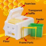 Beekeeping Queen Bee Rearing Hive - Single Polystyrene