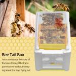 Beekeeping Queen Bee Rearing Hive - Single Polystyrene