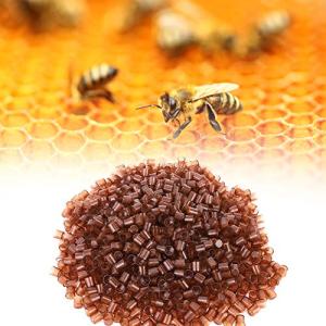 1000PCS Queen Rearing Cell Cups - Beekeeper's Essential