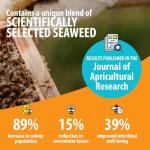 HIVE ALIVE: Natural Bee Food Supplement, Enhances Bee Health