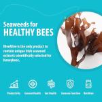 HIVE ALIVE: Natural Bee Food Supplement, Enhances Bee Health